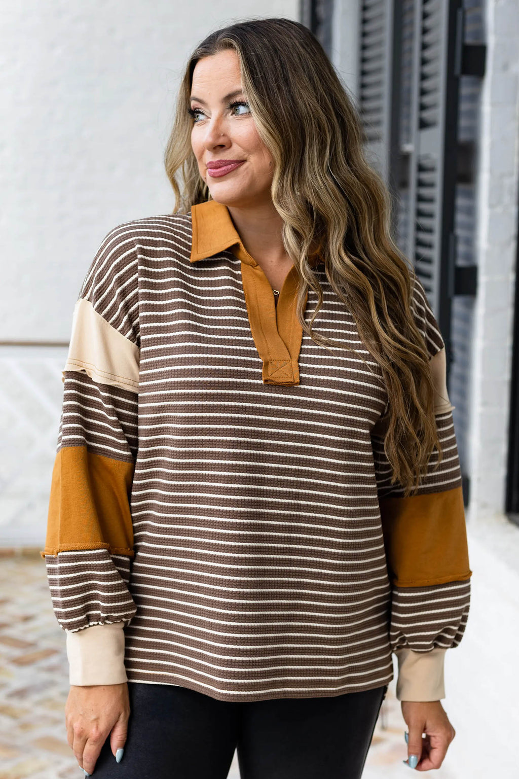 Brown Stripe Colorblock Detail Collar V Neck Plus Size Long Sleeve Top Online Only