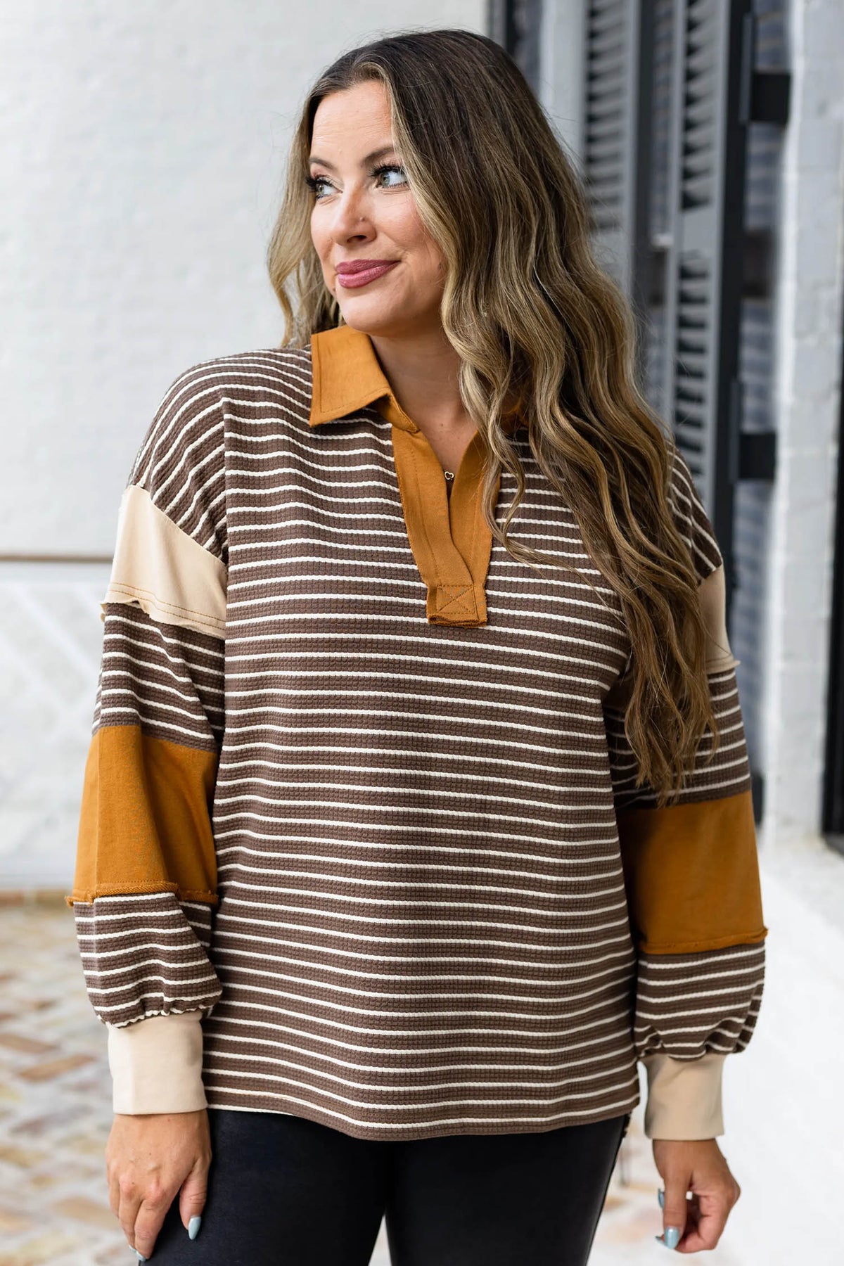 Brown Stripe Colorblock Detail Collar V Neck Plus Size Long Sleeve Top Online Only