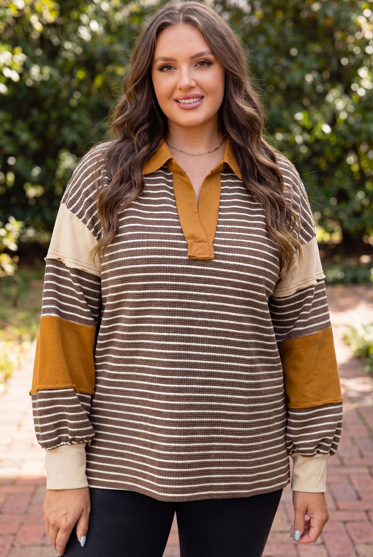 Brown Stripe Colorblock Detail Collar V Neck Plus Size Long Sleeve Top Online Only