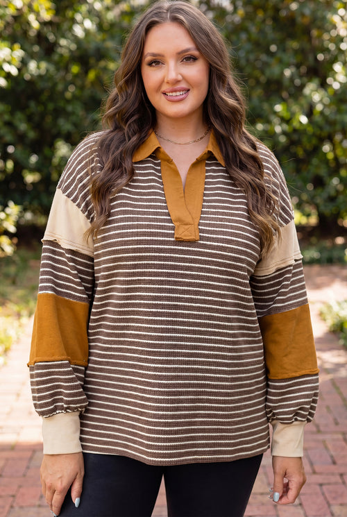 Brown Stripe Colorblock Detail Collar V Neck Plus Size Long Sleeve Top Online Only