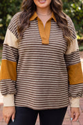 Brown Stripe Colorblock Detail Collar V Neck Plus Size Long Sleeve Top Online Only