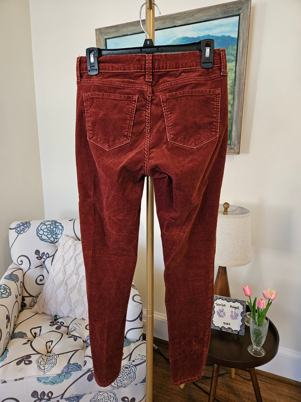 Banana Republic Rust Corduroy Pants Sz 26/2
