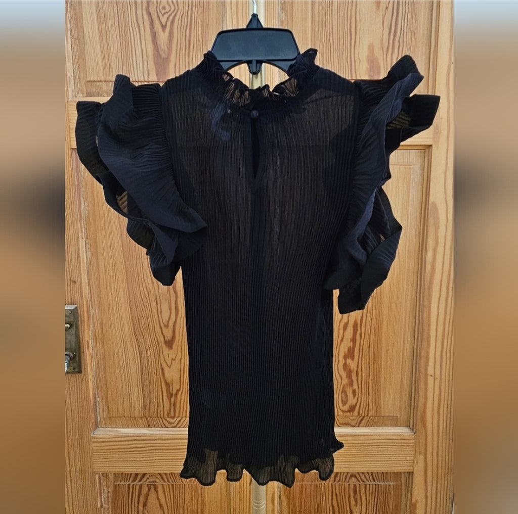 Lovesong Flounce Sleeve High Neck Shear Blouse Size Small