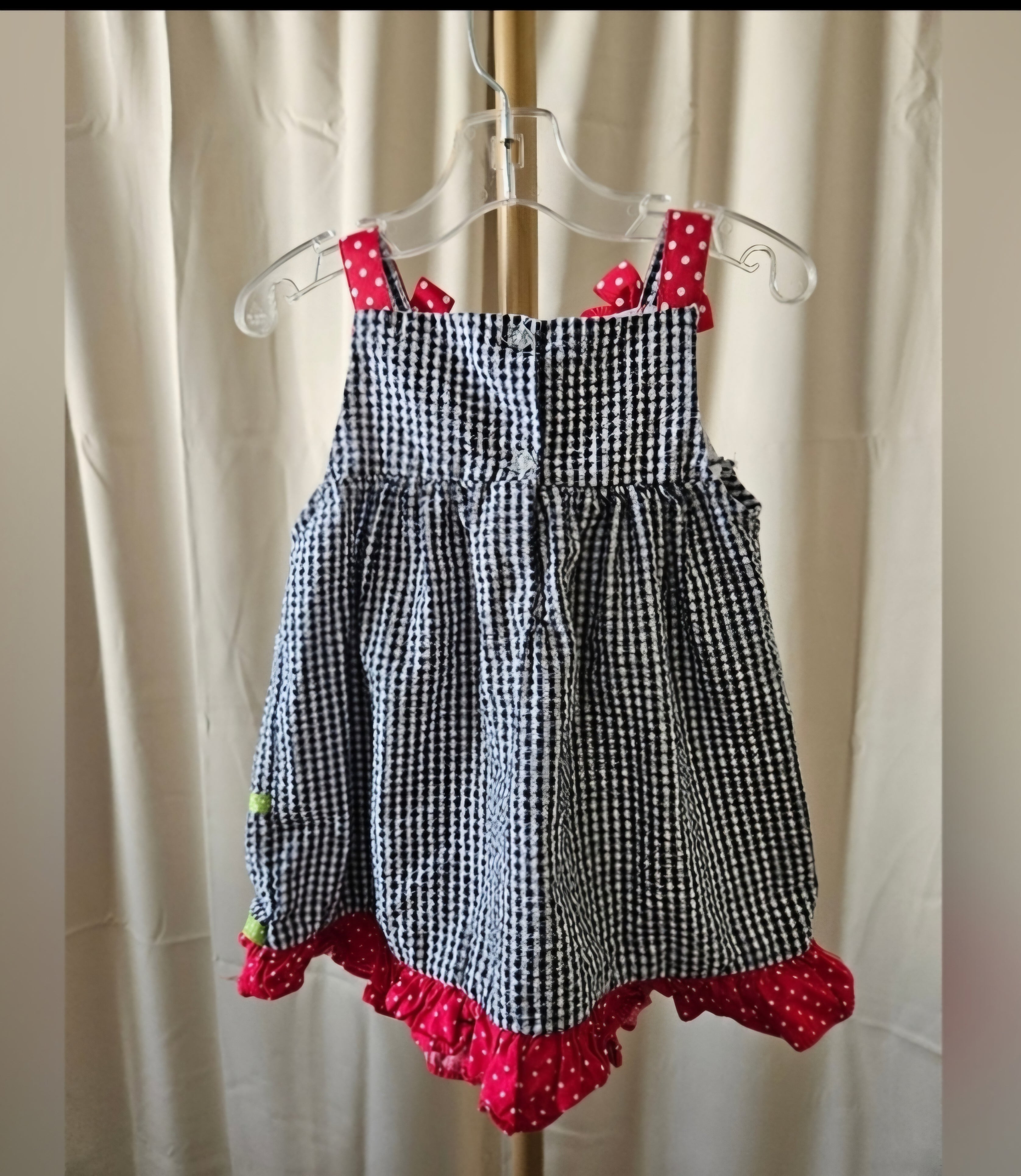 Rare Additions Gingham Dress with Ladybug and Daisy Design Sz 18M