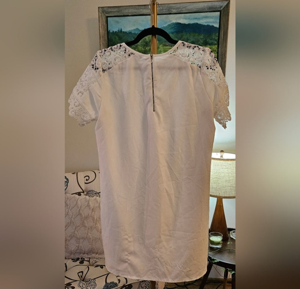 Zara White Lace Sleeve Dress with Zipper Back Size Large