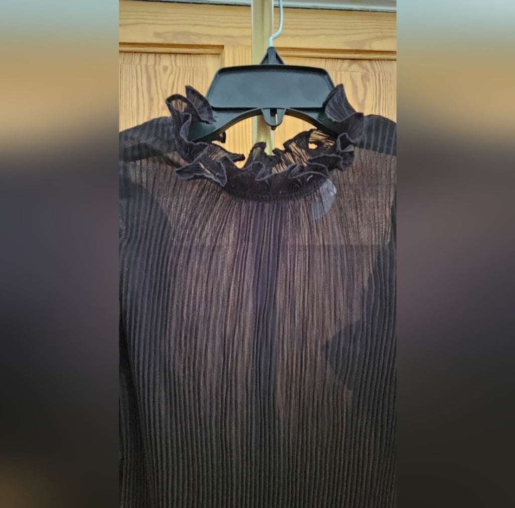 Lovesong Flounce Sleeve High Neck Shear Blouse Size Small
