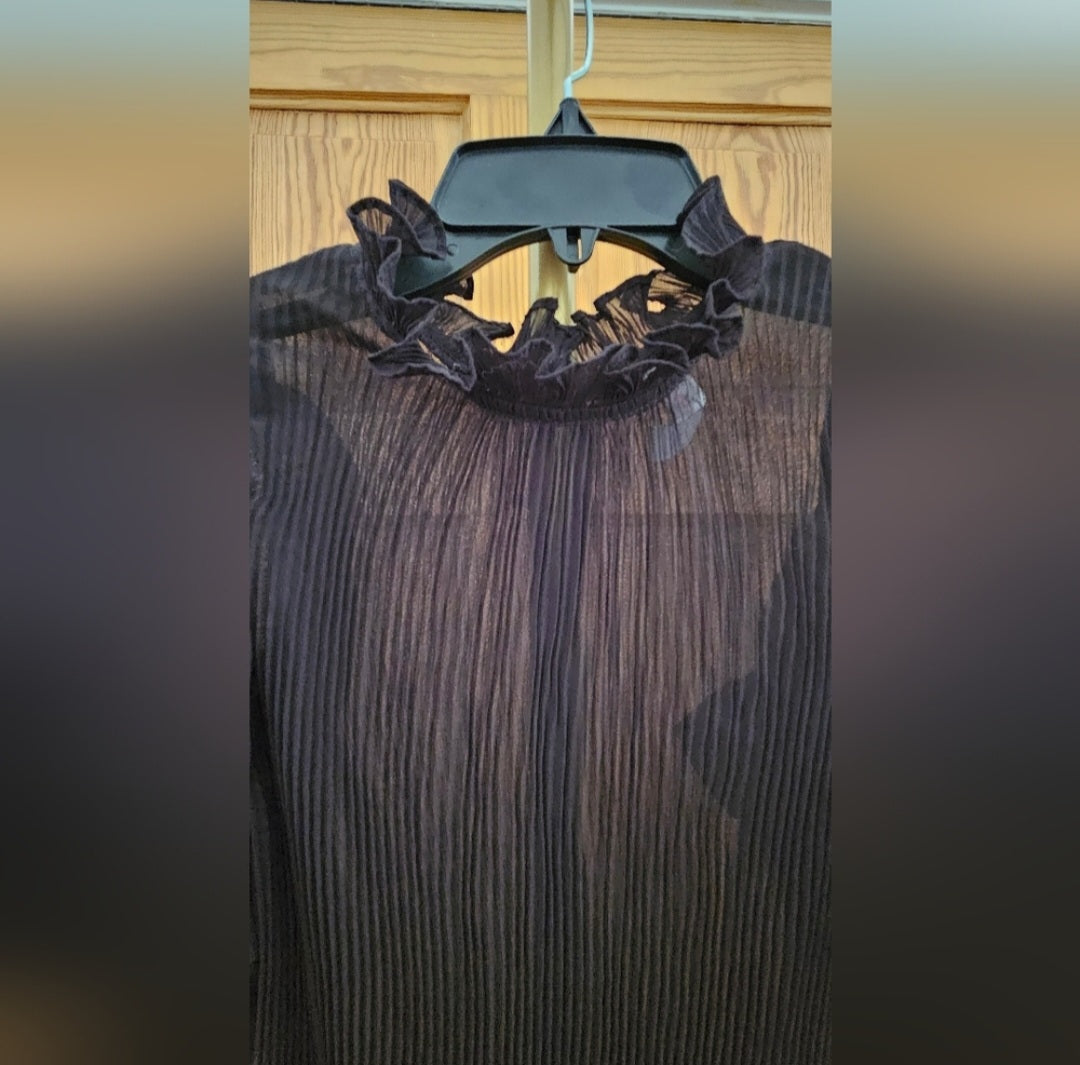 Lovesong Flounce Sleeve High Neck Shear Blouse Size Small