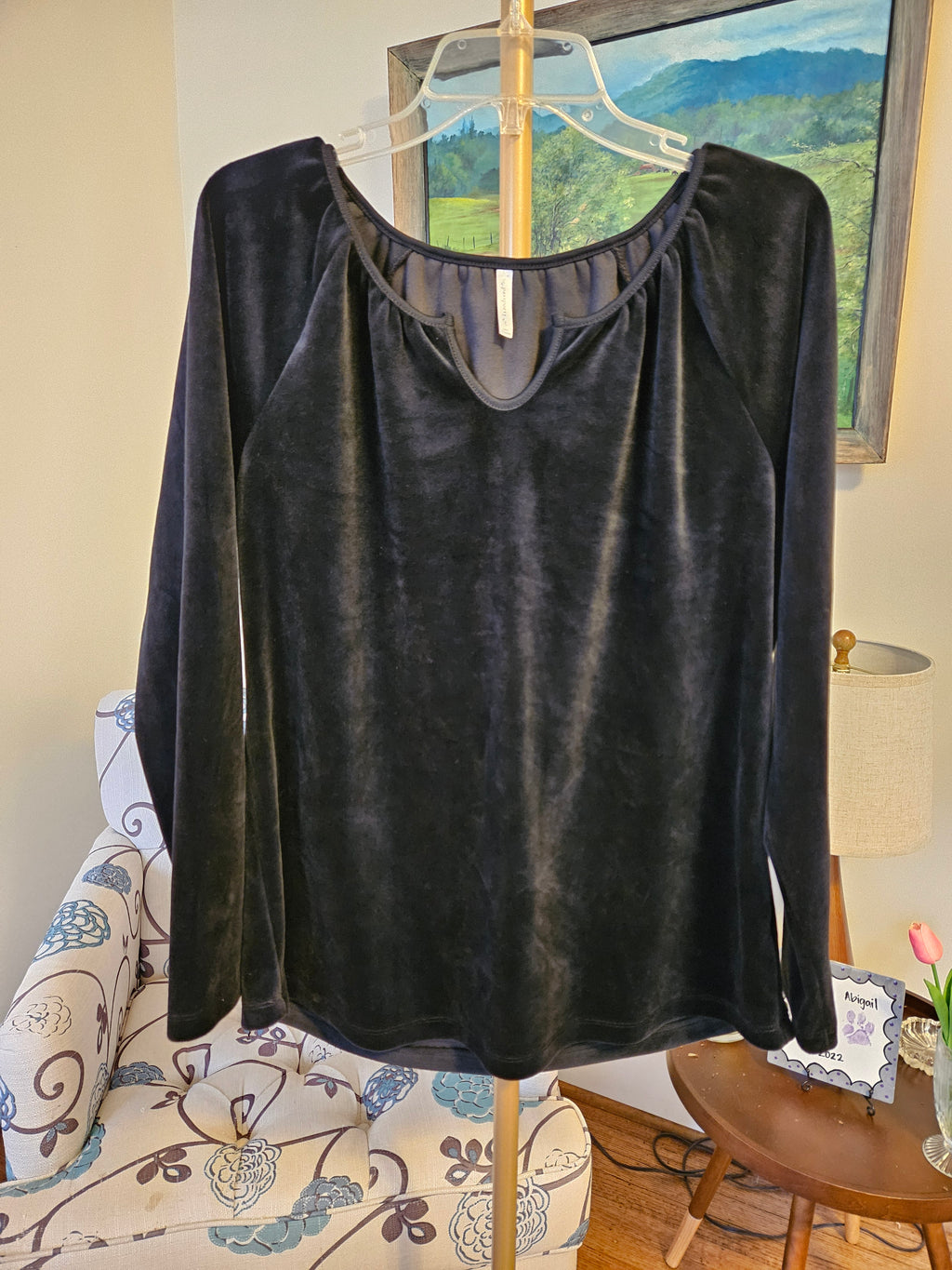 Passport Charcoal Long Sleeve Velour Women's Top Sz Lg