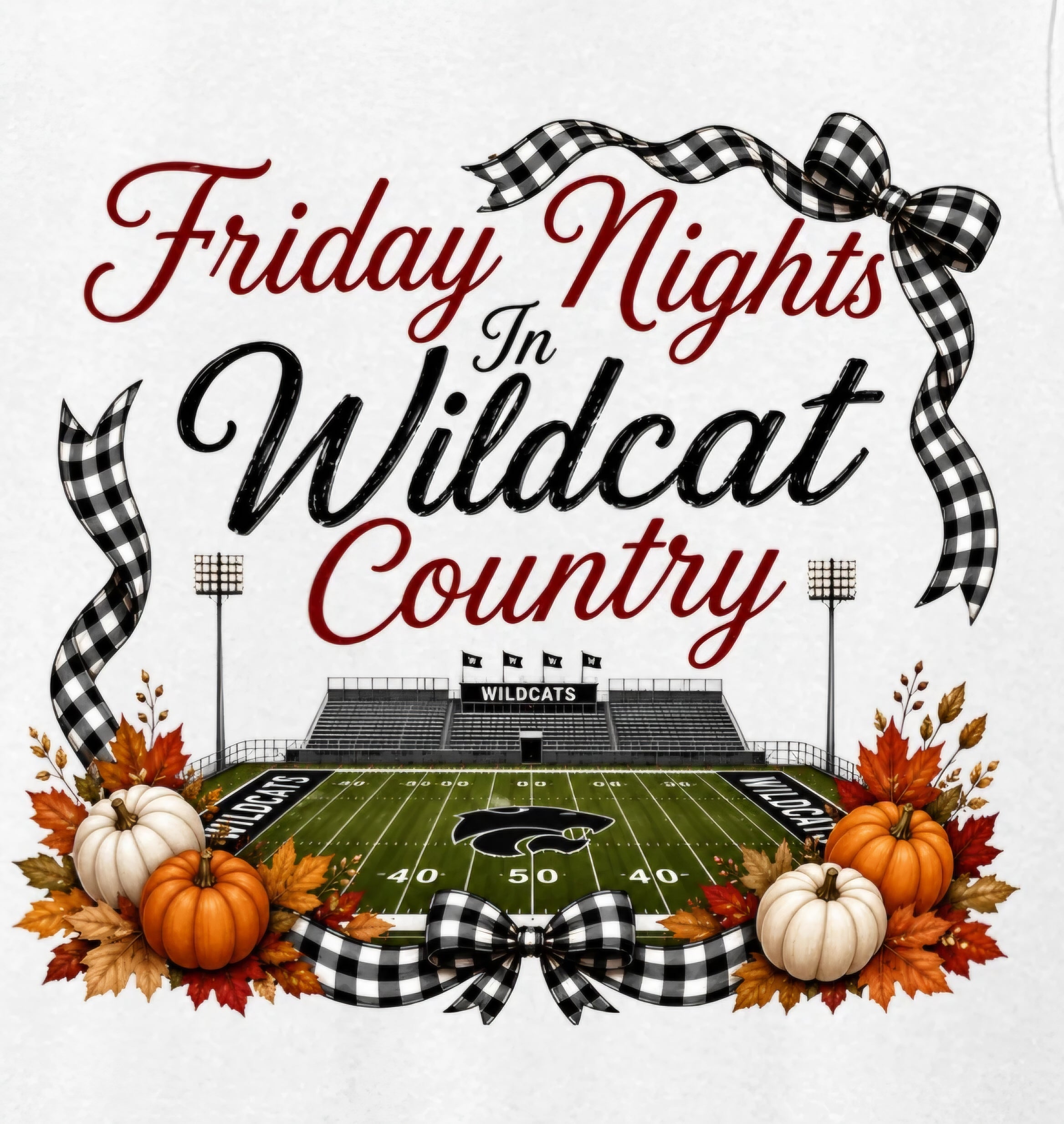 Fall Friday Night Lights