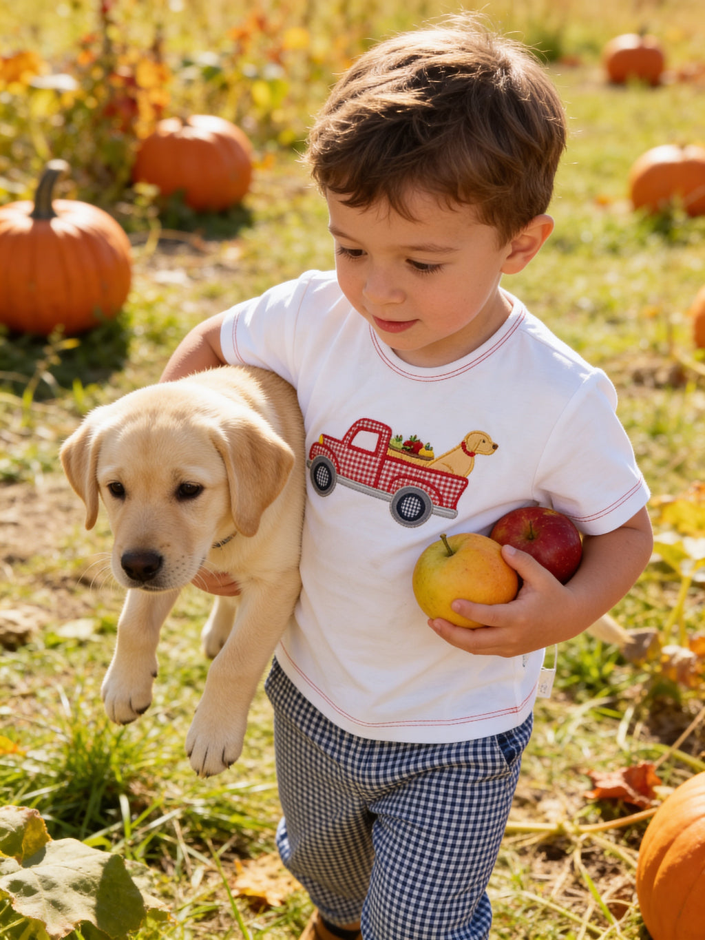 Petit Ami Apple Truck Applique Matching Shirt And Pants