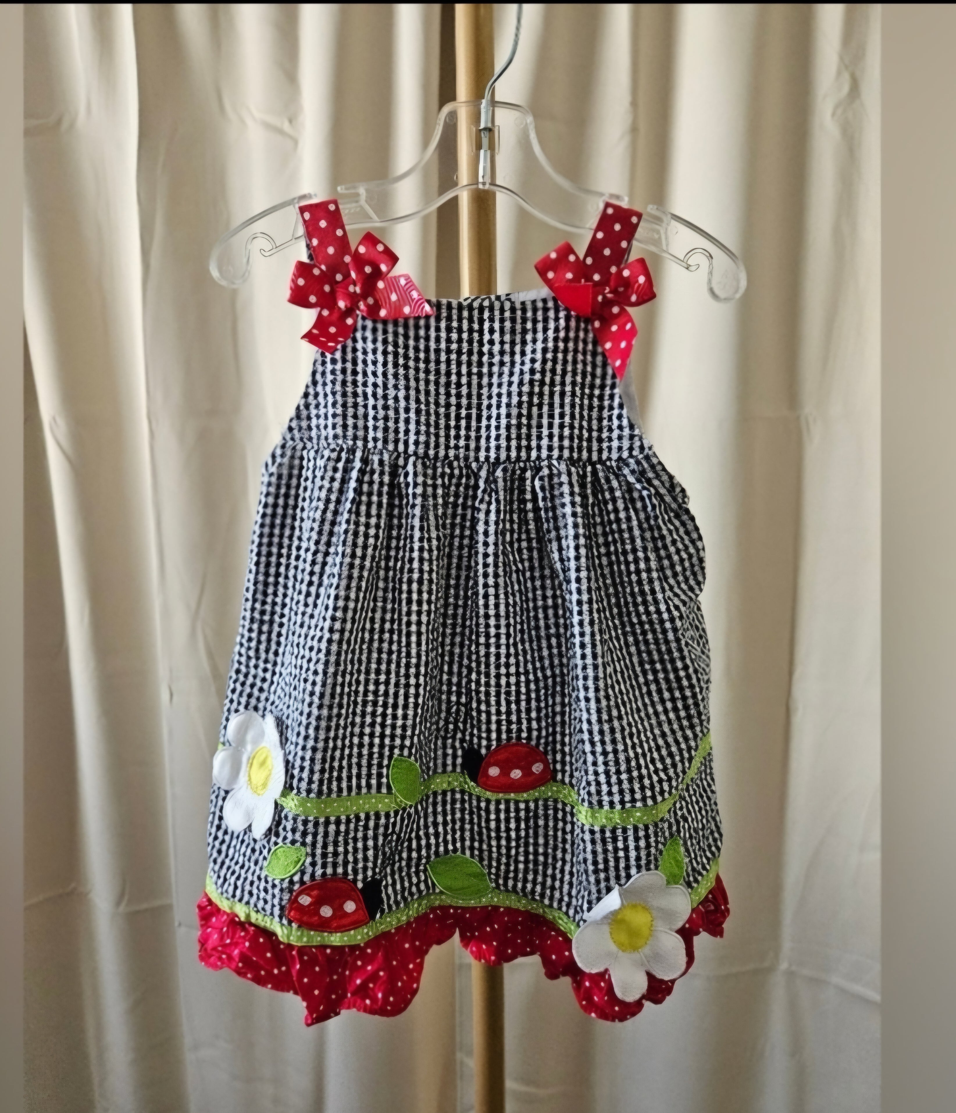 Rare Additions Gingham Dress with Ladybug and Daisy Design Sz 18M