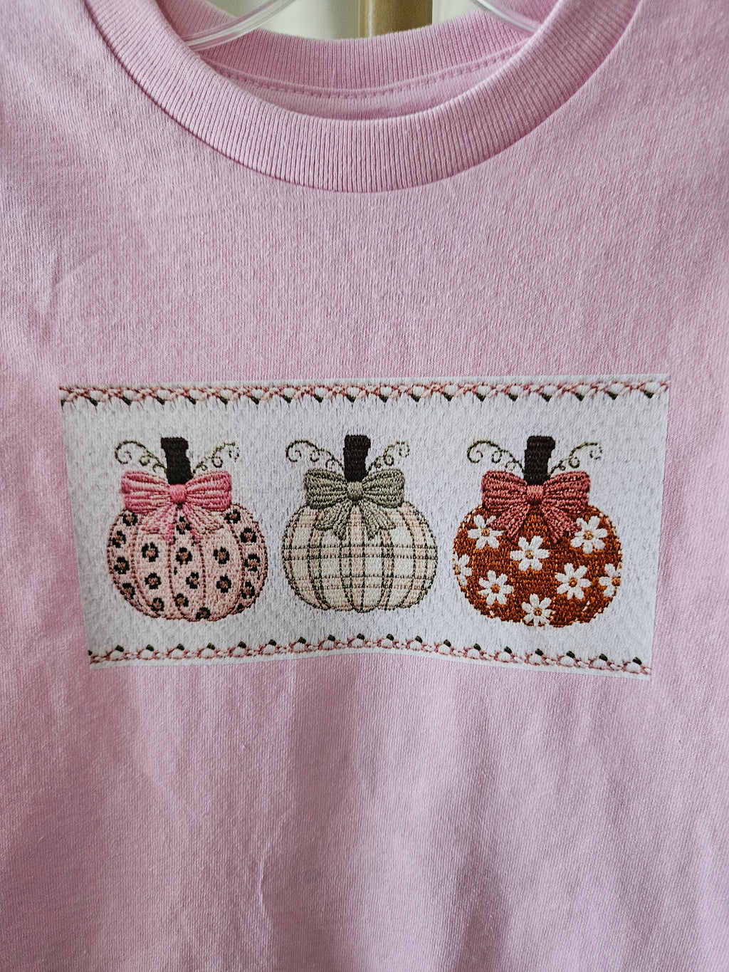 Pink Pumpkin Long-Sleeve T-Shirt | Rabbit Skins | Size 2