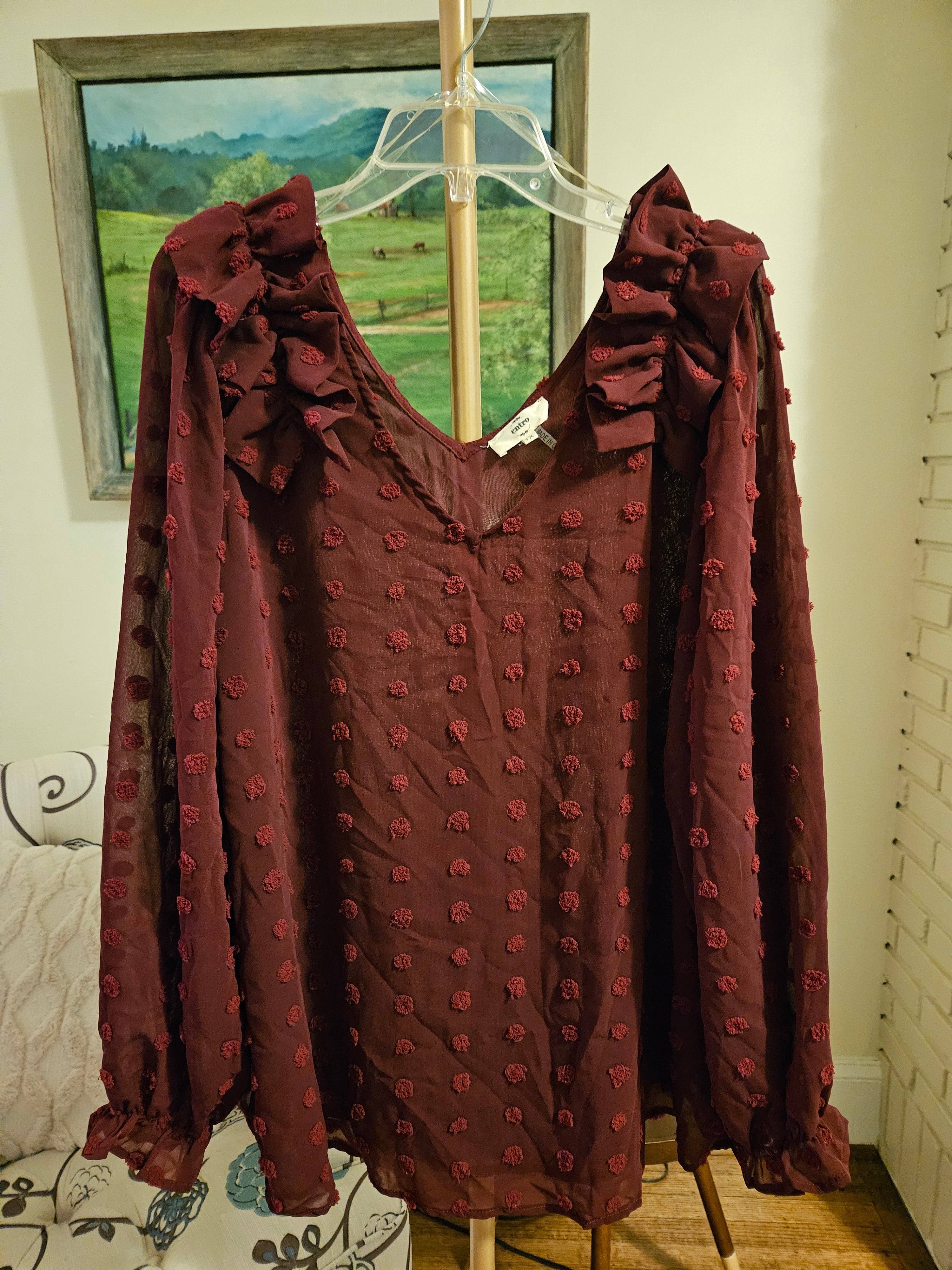 Entro Elegant Burgundy Vneck Shear Women's Top Sz 1X